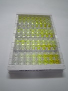 ELISA Kit for Transmembrane Protein 176B (TMEM176B)