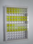 ELISA Kit for RNA Binding Motif Protein 20 (RBM20)