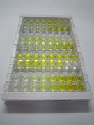 ELISA Kit for Scleraxis Homolog A (SCXA)