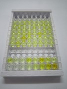 ELISA Kit for BRCA1/BRCA2 Containing Complex Subunit 3 (BRCC3)