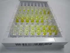 ELISA Kit for Longevity Assurance Homolog 2 (LASS2)