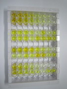 ELISA Kit for RAD51 Homolog (RAD51)