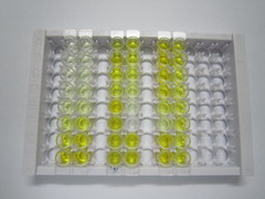 ELISA Kit for Histone Cluster 1, H2ab (HIST1H2AB)