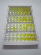 ELISA Kit for Aldose Reductase Like Protein 1 (ARL1)