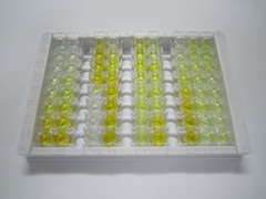 ELISA Kit for Adipocyte Plasma Membrane Associated Protein (APMAP)