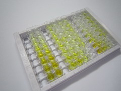 ELISA Kit for Enah/Vasp Like Protein (EVL)