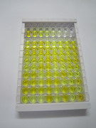 ELISA Kit for Peptidase Inhibitor 16 (PI16)