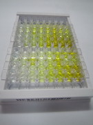 ELISA Kit for RNA Binding Motif Protein 24 (RBM24)