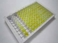 ELISA Kit for Longevity Assurance Homolog 6 (LASS6)