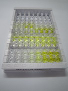 ELISA Kit for Meteorin Like Protein (METRNL)