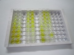 ELISA Kit for Hyaluronoglucosaminidase 1 (HYAL1)