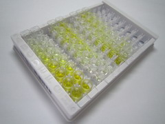 ELISA Kit for Hyaluronoglucosaminidase 1 (HYAL1)