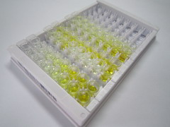 ELISA Kit for DnaJ/HSP40 Homolog Subfamily C, Member 13 (DNAJC13)