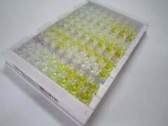 ELISA Kit for Zymogen Granule Protein 16 Homolog B (ZG16B)