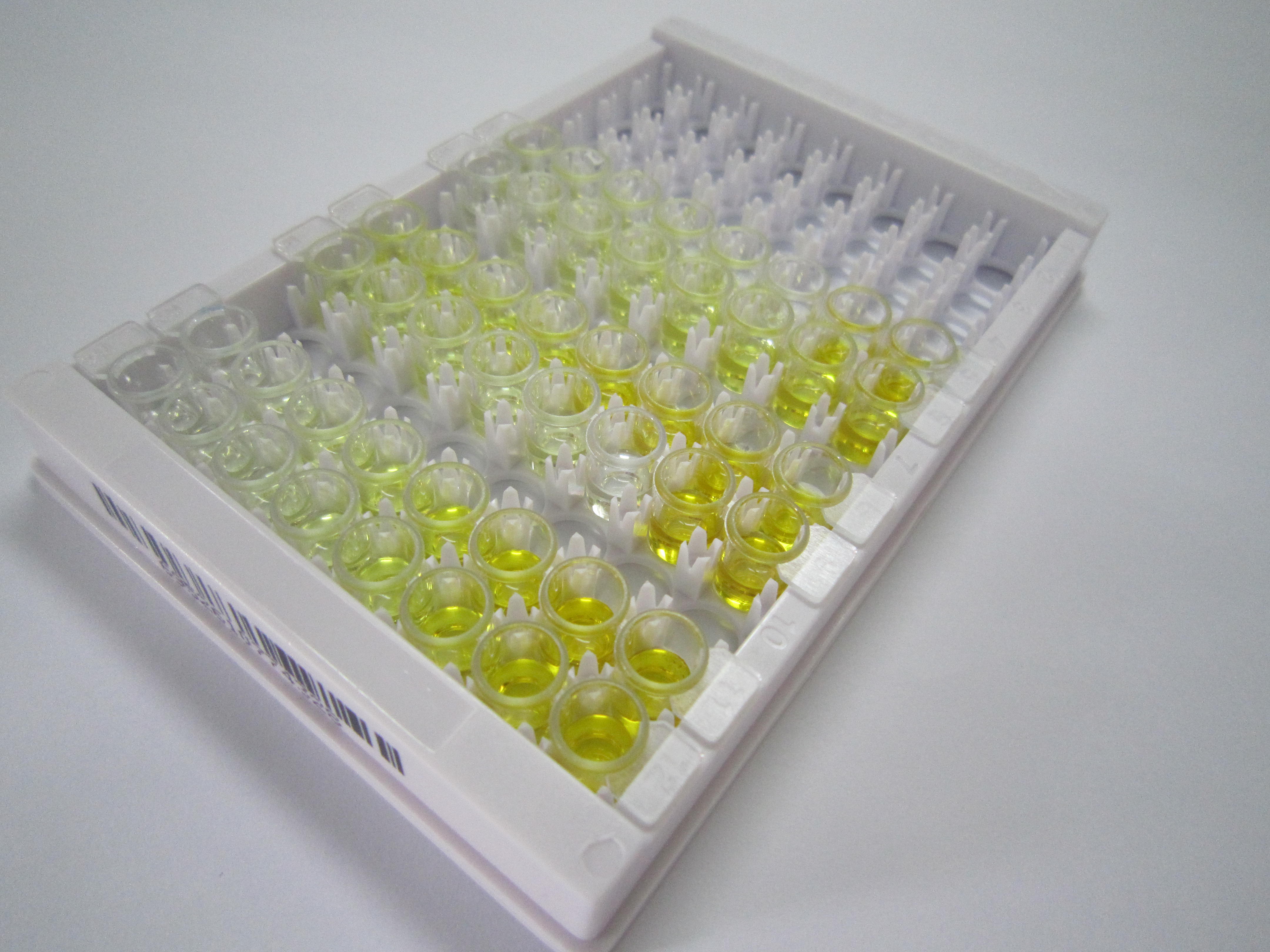 ELISA Kit for NADH Dehydrogenase 5 (ND5)