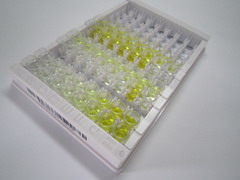 ELISA Kit for N-6-Adenine Specific DNA Methyltransferase 1 (N6AMT1)