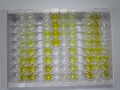 ELISA Kit for CD200 Receptor 2 (CD200R2)