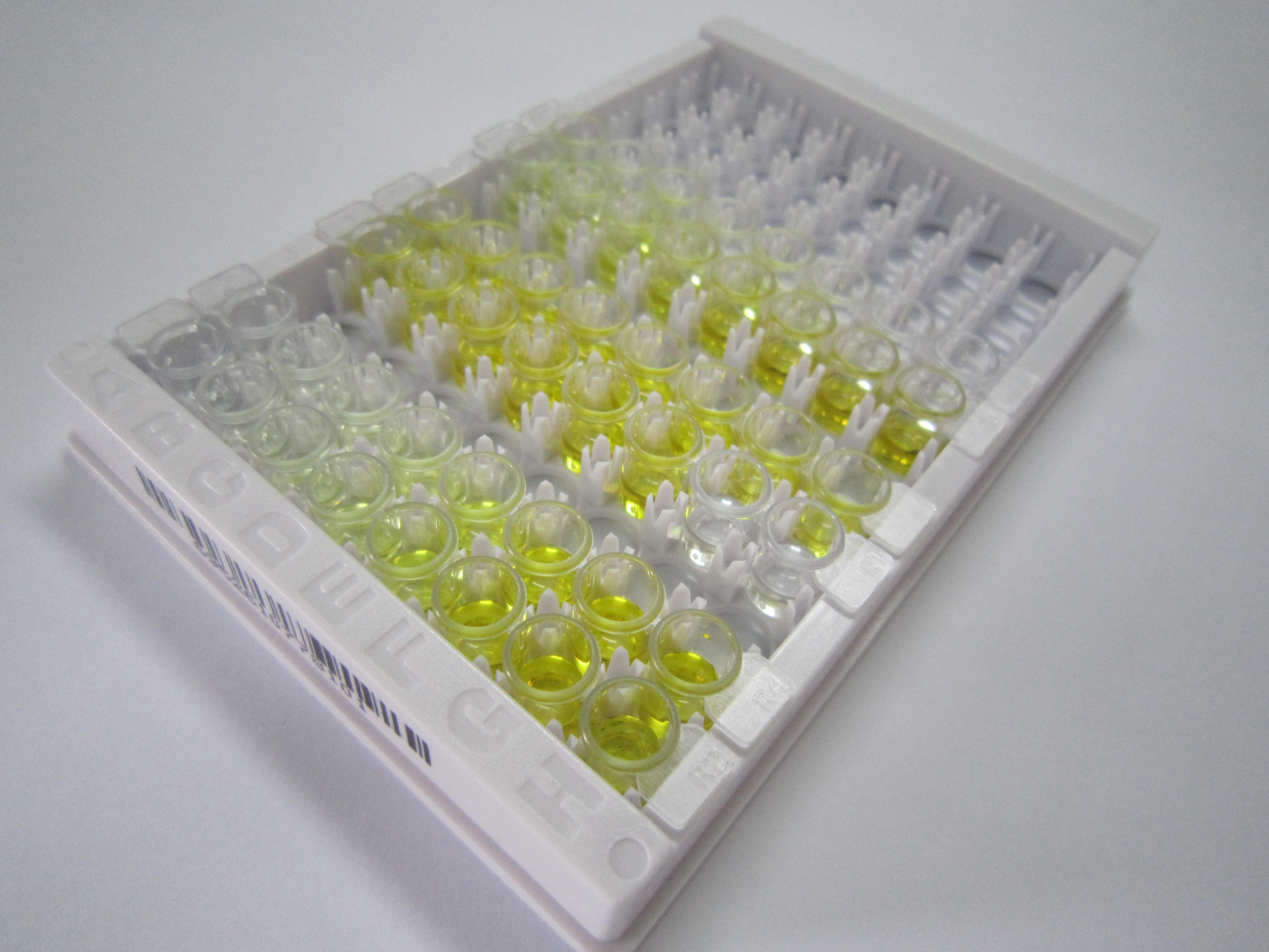 ELISA Kit for IBA57, Iron Sulfur Cluster Assembly Factor Homolog (IBA57)