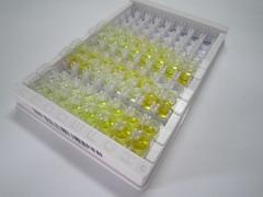 ELISA Kit for Angiopoietin Like Protein 8 (ANGPTL8)