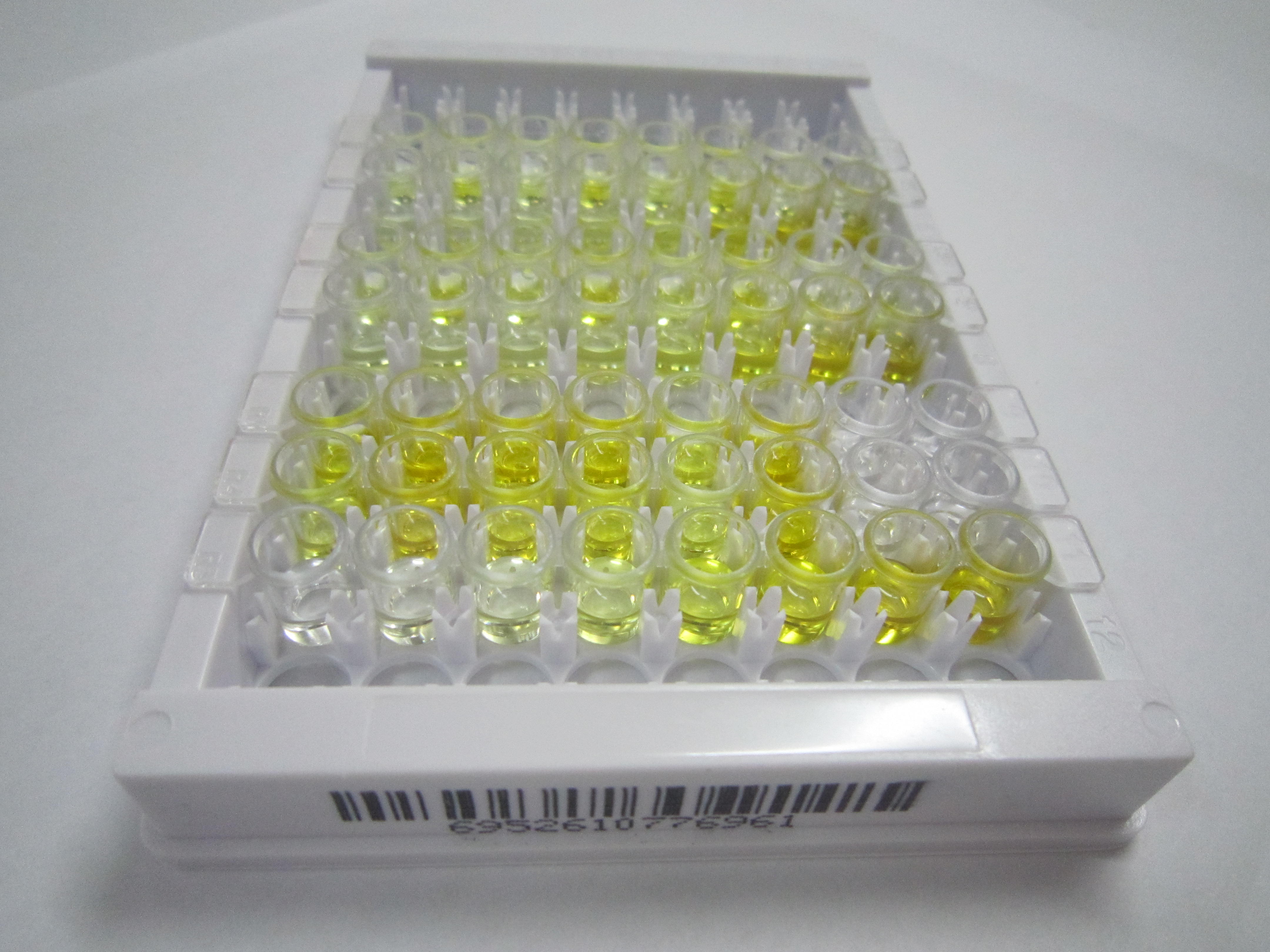 ELISA Kit for Endogenous Bornavirus Like Nucleoprotein 1 (EBLN1)