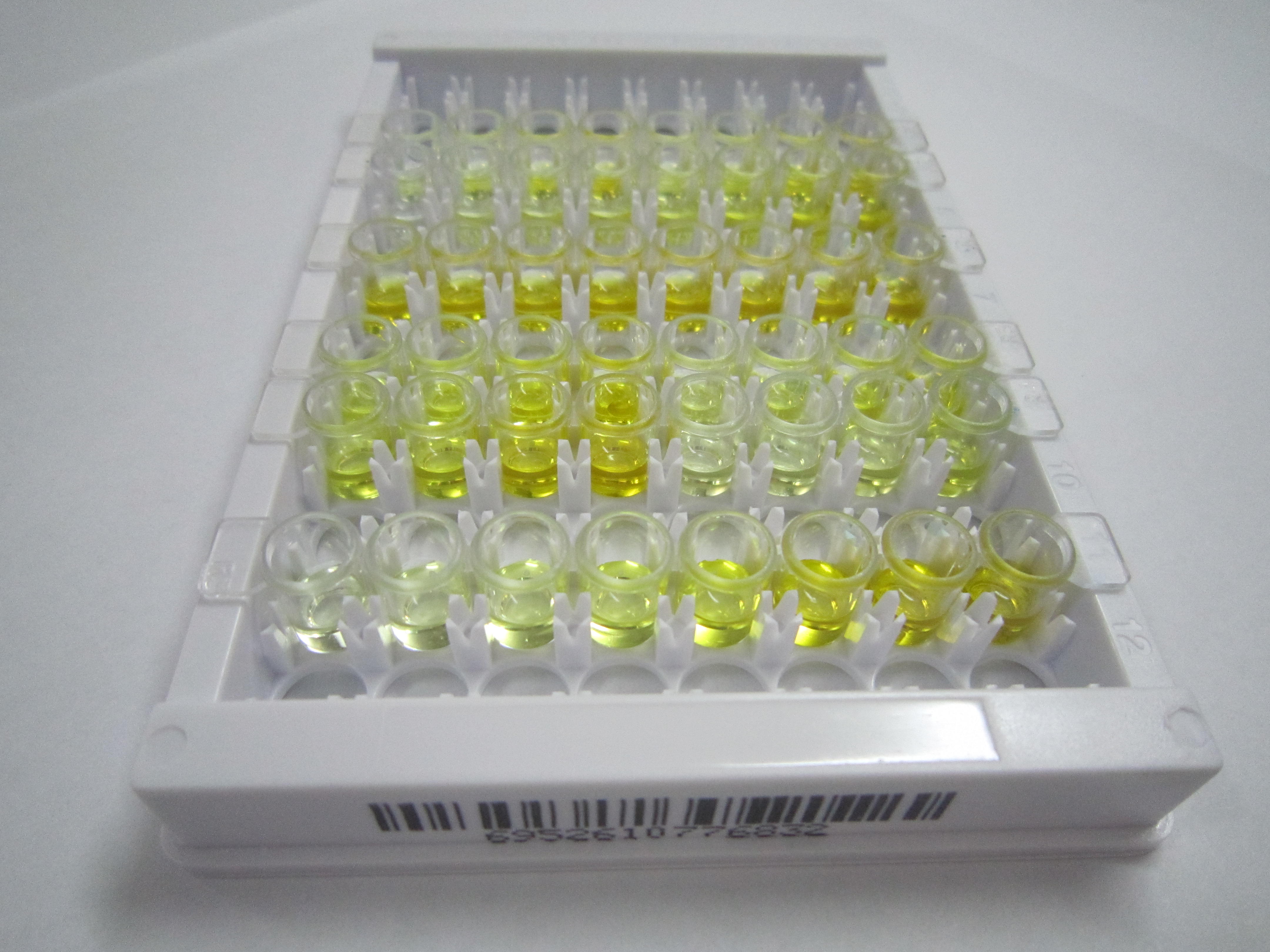 ELISA Kit for Ecotin (ECO)