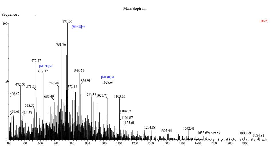 Synthetic Atrial Natriuretic Peptide (ANP)