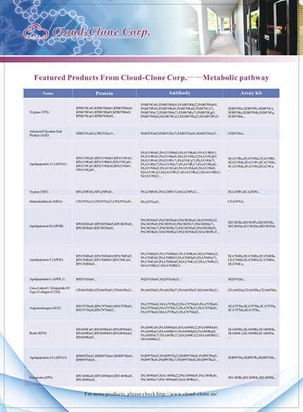 Featured Productes From Cloud-Clone Corp. -- Metabolic pathway