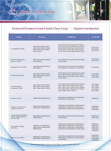 Featured Productes From Cloud-Clone Corp. -- Signal transduction