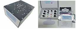 Multiplex Assay Kit for Hemoglobin (HB) ,etc. by FLIA (Flow Luminescence Immunoassay)