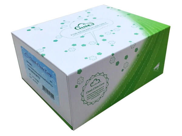 ELISA Kit for High Affinity Choline Transporter (ChT)