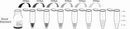 CLIA Kit for Interleukin 4 (IL4)